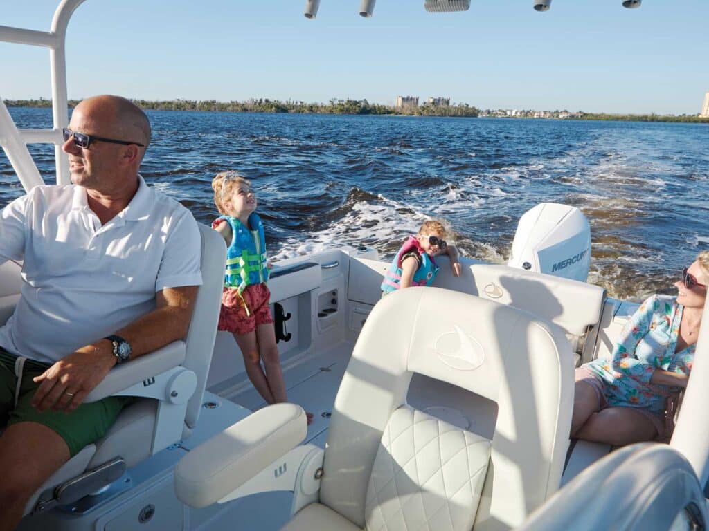Finseeker 245 WA cockpit